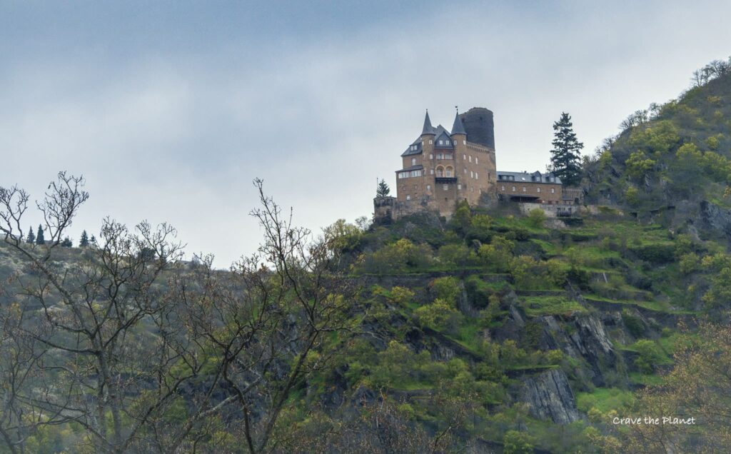 rhein castle