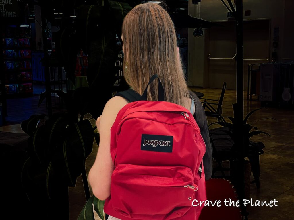 girl wearing jansport backpack that needs cleaning
