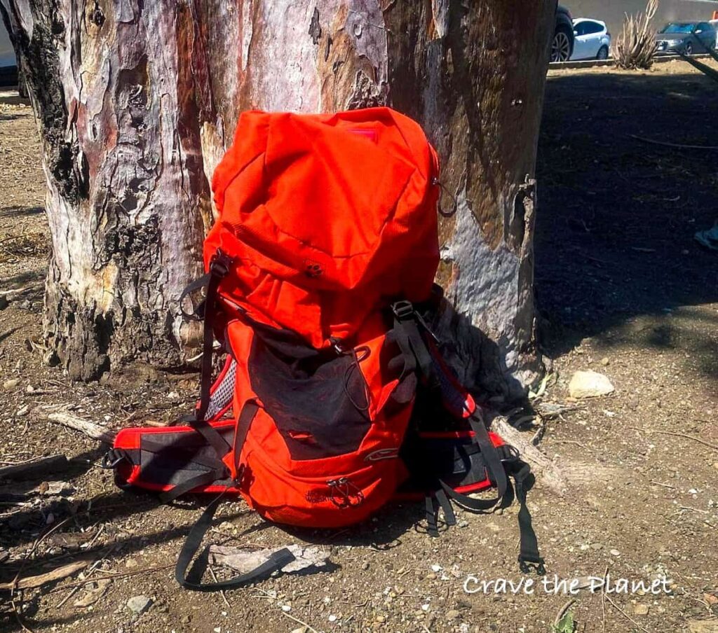 red jack wolfskin hiking backpack against a eucalyptus tree