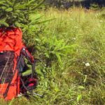 jack wolfskin backpack sitting in green transylvanica forest