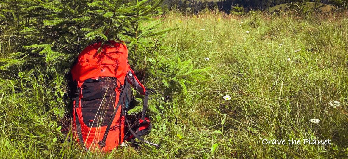 jack wolfskin backpack sitting in green transylvanica forest