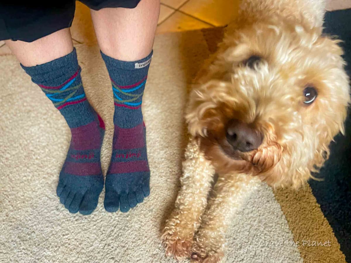 Injinji Socks Review: Physical Therapist Asks - Do Separate Toes Really  Prevent Blisters?