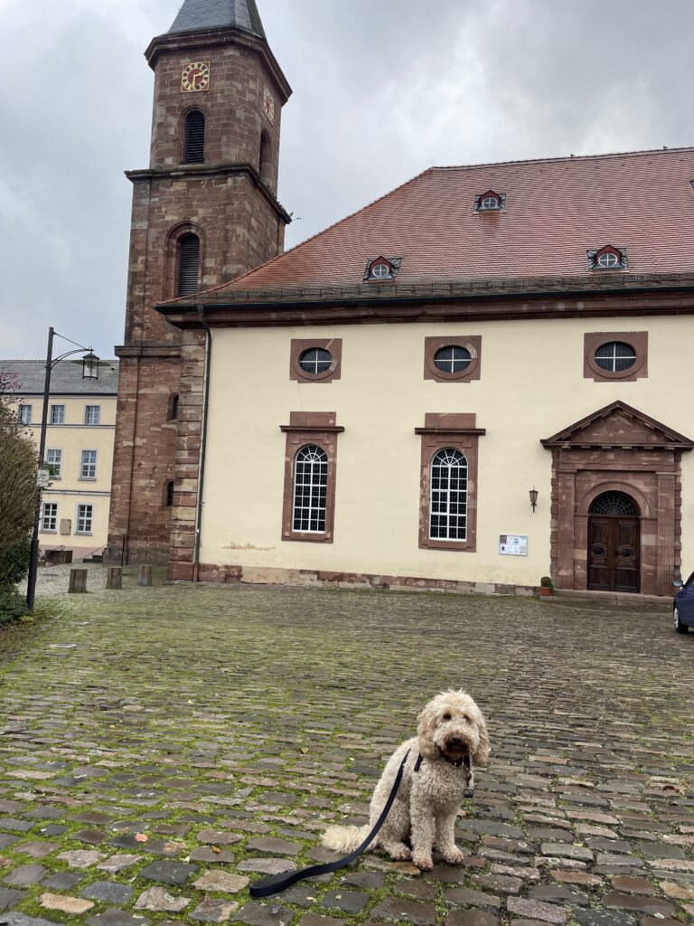 kloster hornbach germany dog sitting in front