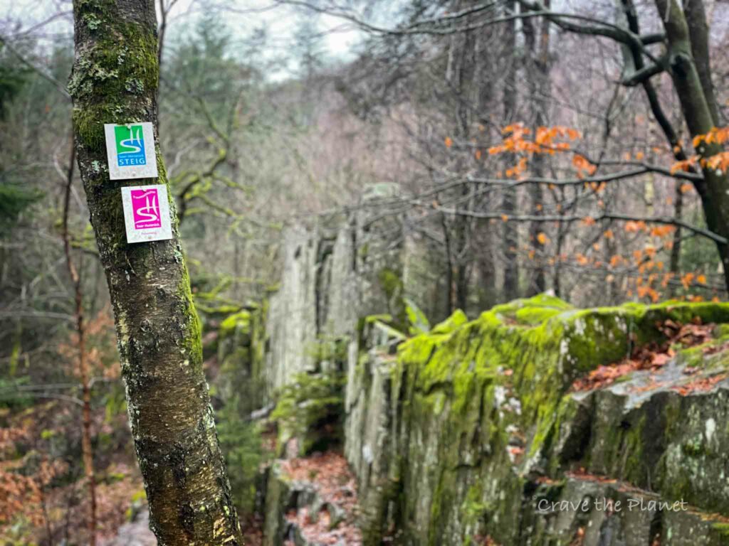 signs on tree for the felsenweg trail in germany
