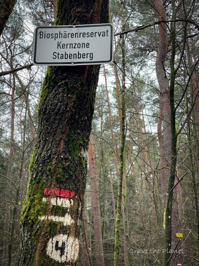 biosphere reserve kernzone stabenberg germany 