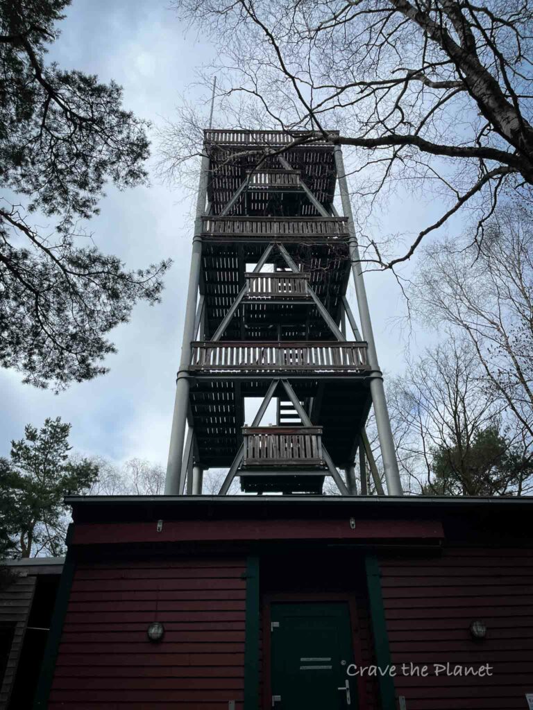 eckkopfturm tower in german forest