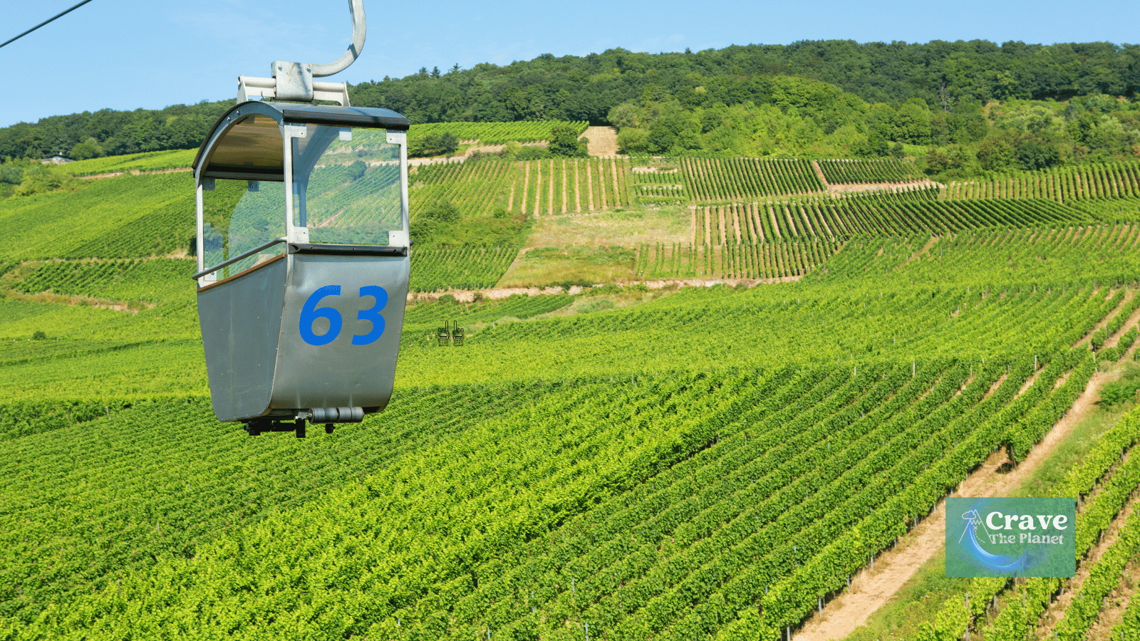 rudesheim cable car over vineyard