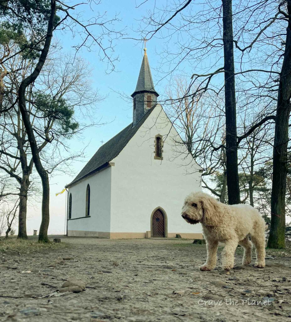 chapel in forest with a doodle in front 