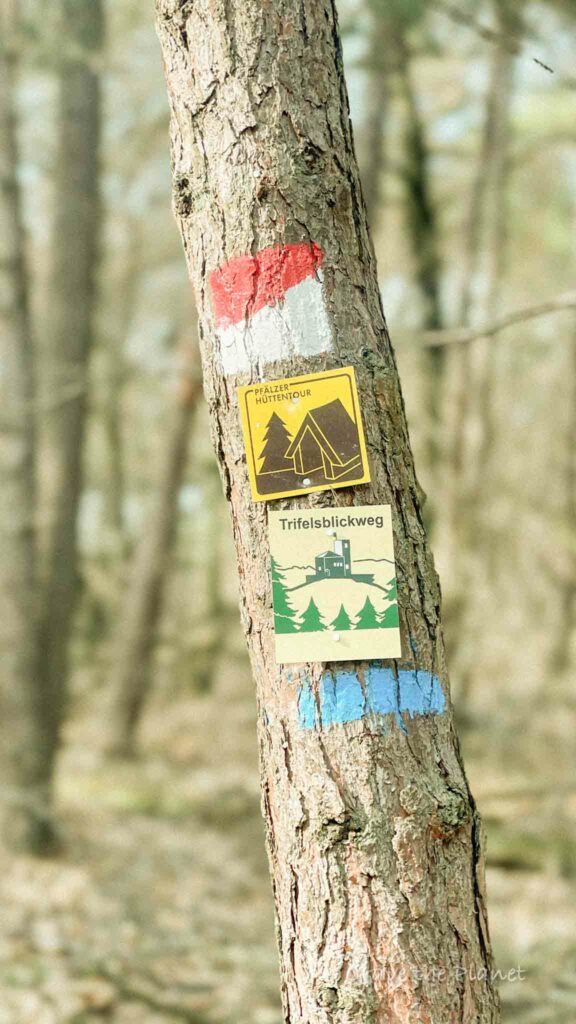 german hiking signs on tree