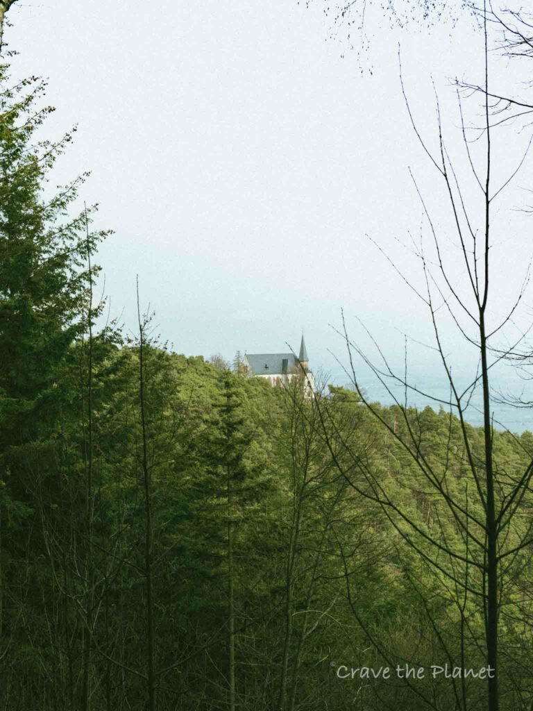 st annas church through the forest